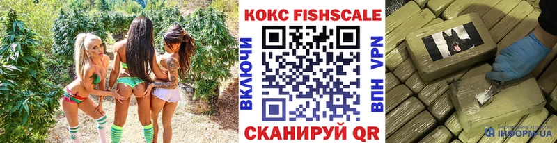 хочу   Сасово  КОКАИН FishScale 