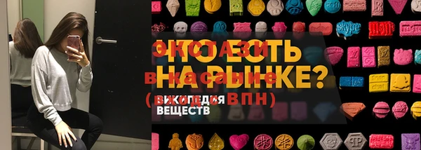 спайс Ельня