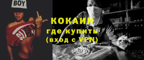 спайс Ельня