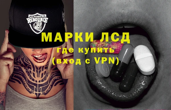 спайс Ельня
