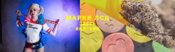 гидропоника Елизово