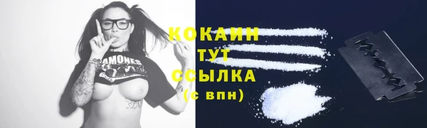спайс Ельня