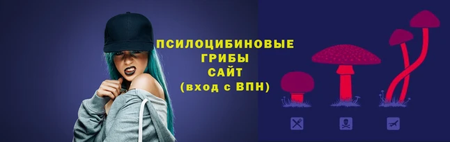 гидропоника Елизово