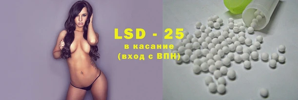 спайс Ельня