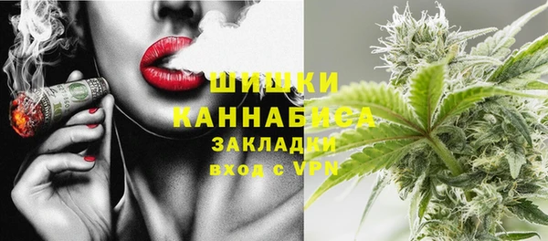 спайс Ельня