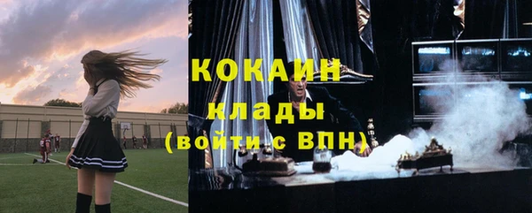 спайс Ельня