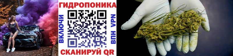 продажа наркотиков  Сасово  Каннабис LSD WEED 